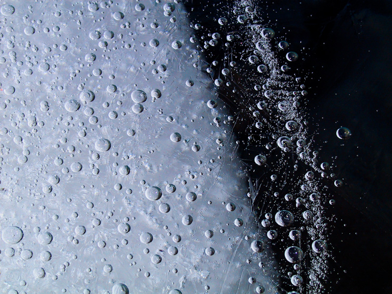 Air Bubbles Trapped In Ice